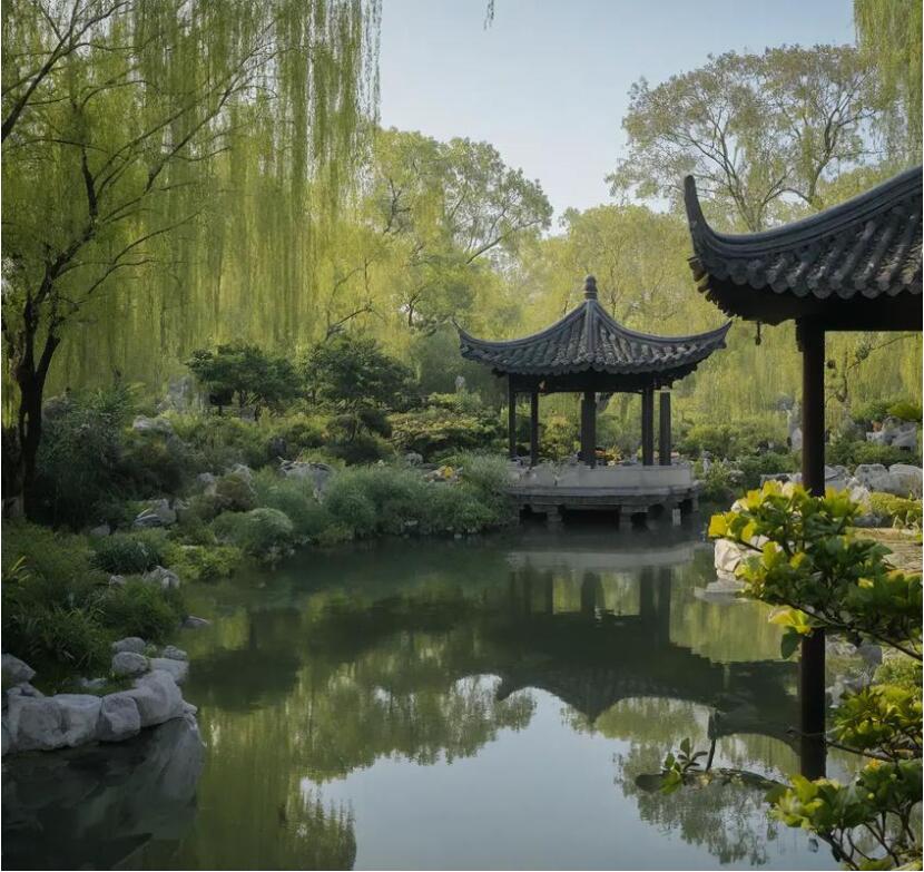 鹤壁鹤山旅行餐饮有限公司